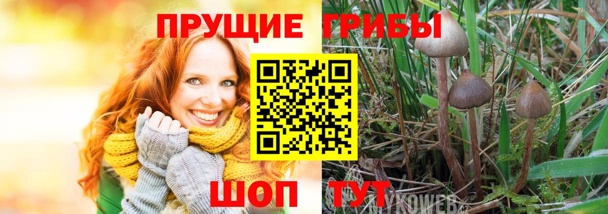 Саратов  Галлюциногенные грибы ЛСД  Псилоцибиновые грибы GOLDEN TEACHER  Вход с VPN 