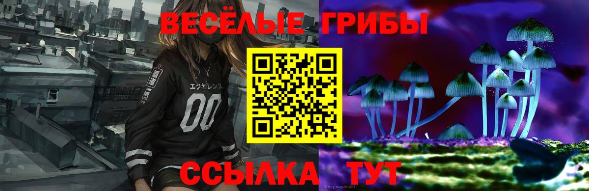 Галлюциногенные грибы Magic Shrooms Саратов